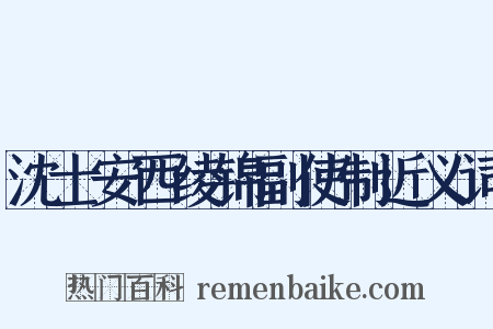 沈士安西绫锦副使制近义词是什么意思的图片